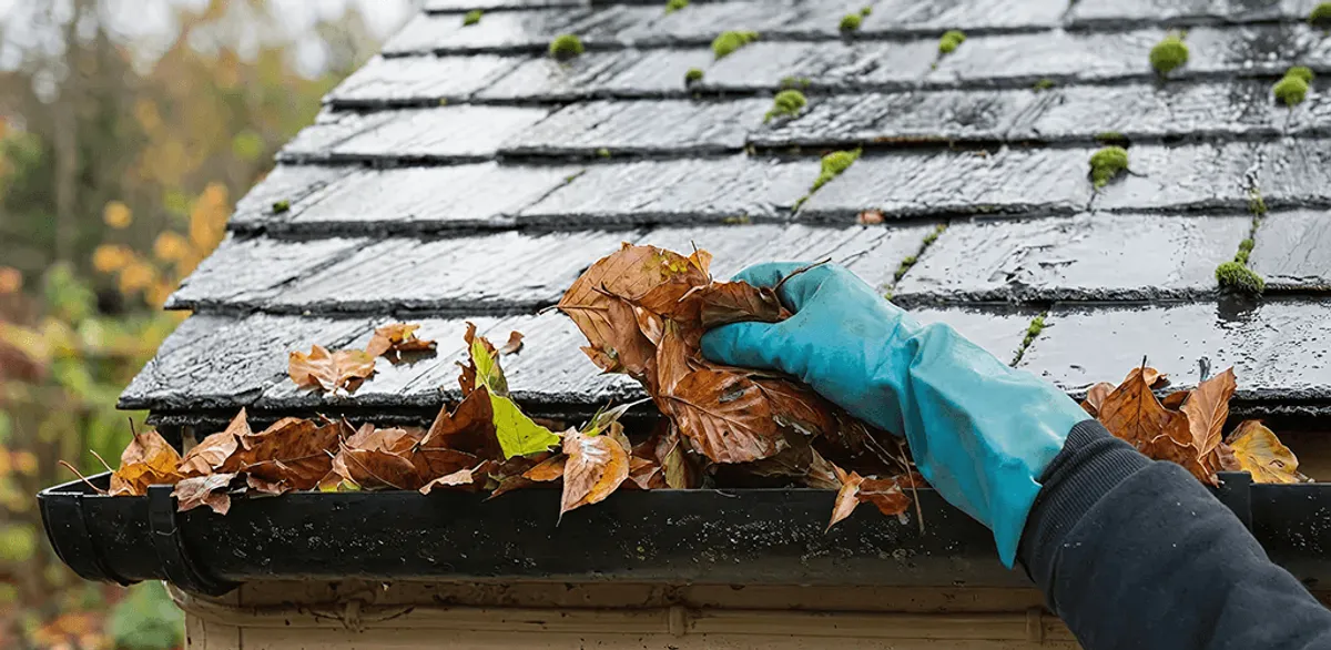 Gutter cleaning technician clearing wet leaves from roof gutters in Anaheim, CA